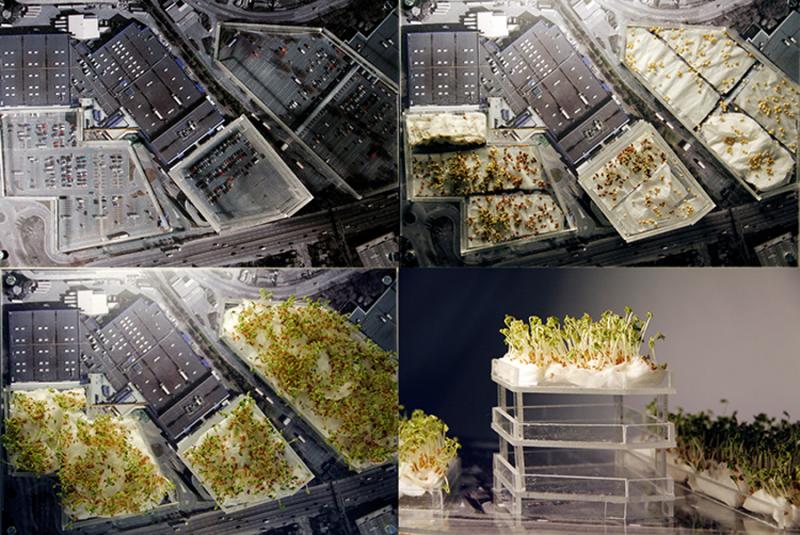 Redefining a ritual for an existing institution (Fabian Society), to define what an institution is and how to bring together the idea of an institution in order to create a space to inhabit the people.
The model shows a gradual process of occupying and expropriating corporate space of IKEA and Tesco's Car park.